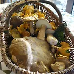 Bed and breakfast De Madel