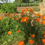 De Madel Bed and breakfast