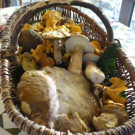 Bed & Breakfast De Madel