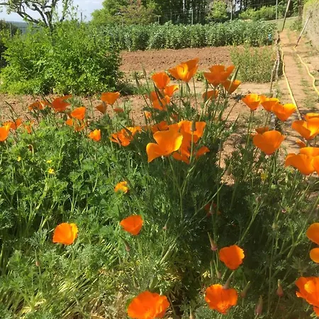 De Madel 住宿加早餐酒店