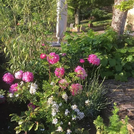 Bed & Breakfast De Madel Domme