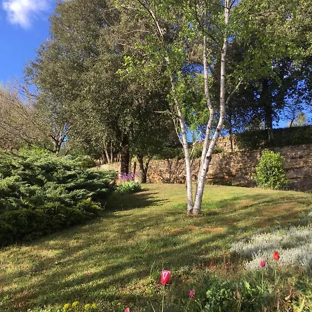 Bed and breakfast De Madel Domme