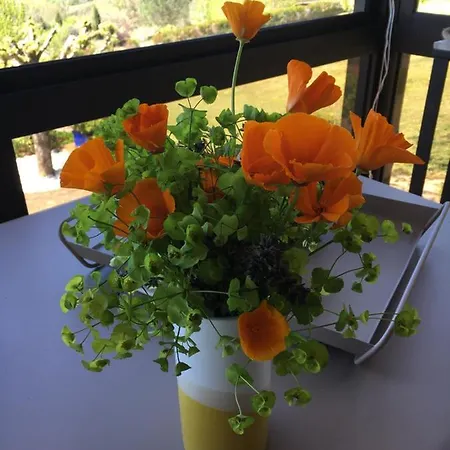 De Madel 住宿加早餐酒店 4*