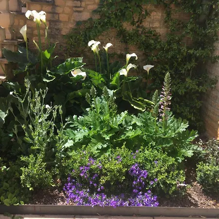 ベッド・アンド・ブレックファスト De Madel ドンム