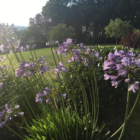 Bed & Breakfast De Madel