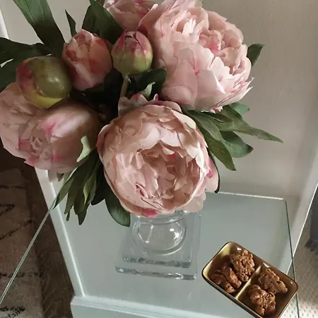 Bed & Breakfast De Madel Domme