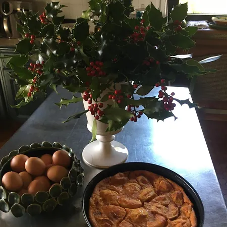 Bed & Breakfast De Madel Domme