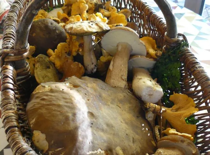 Bed & Breakfast De Madel