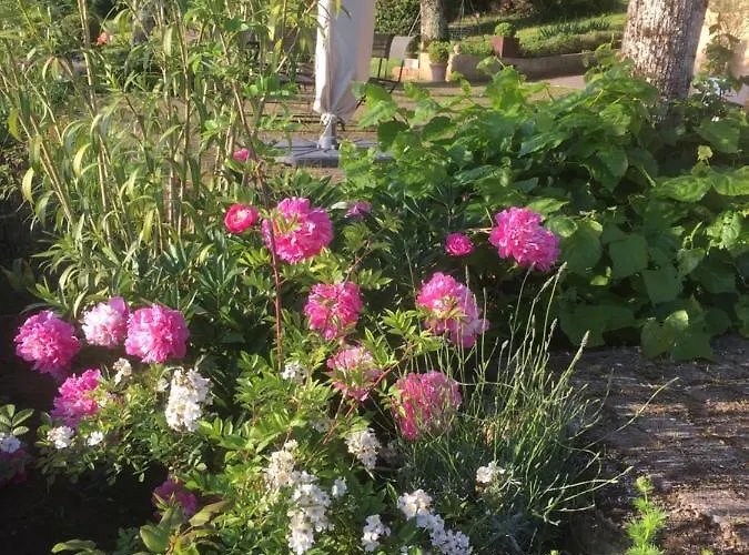 Bed & Breakfast De Madel Domme