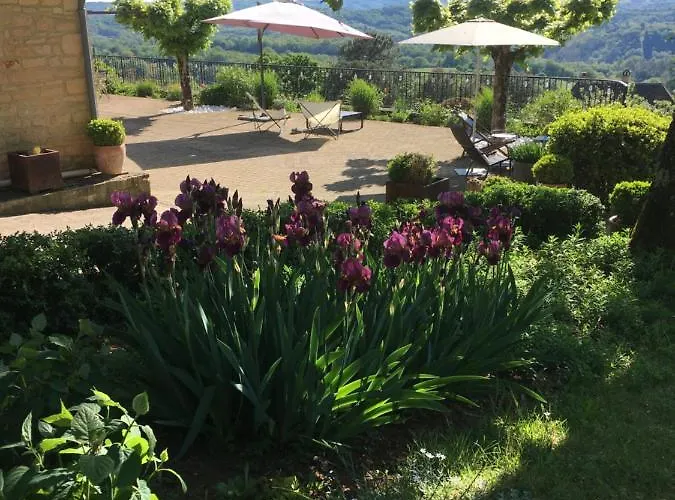 Bed & Breakfast De Madel Domme