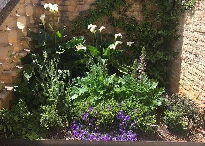 Bed & Breakfast De Madel Domme