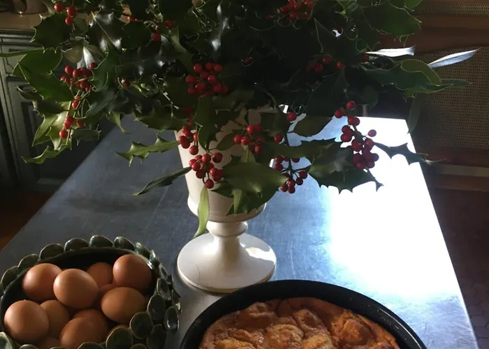 Bed & Breakfast De Madel Domme